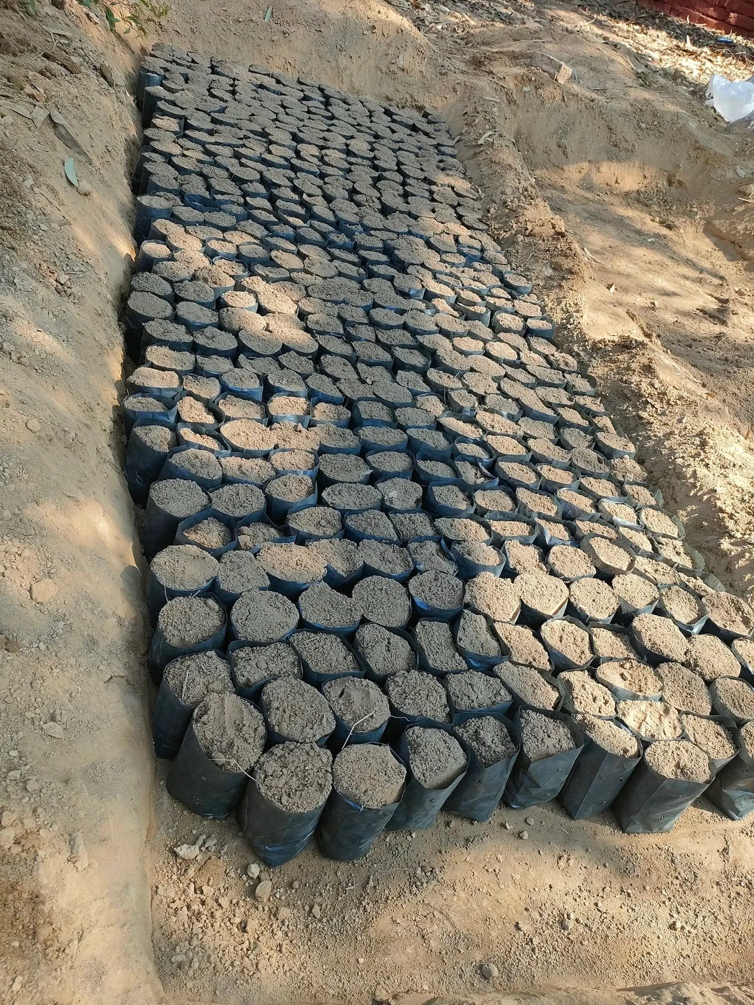 Green Seekers Activity